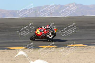 media/Nov-12-2023-SoCal Trackdays (Sun) [[5d1fba4e7d]]/Bowl (930am)/